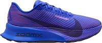 Racer Blue / Vivid Purple / Purple Dynasty